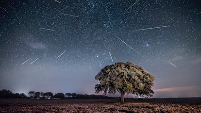 Perseidas