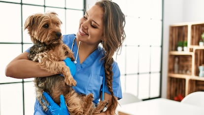 ¿Te gustaría estudiar para ser Ayudante Técnico Veterinario? ¡Encuentra el mejor FP 'online' para ti!