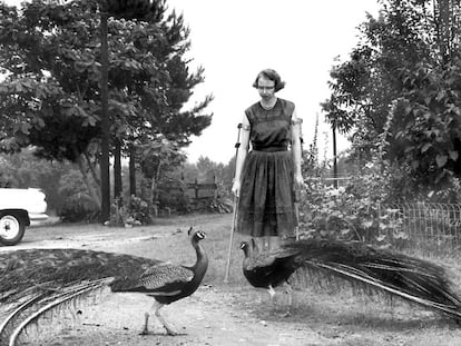 FLANNERY O'CONNOR LITERATURA PODCAST