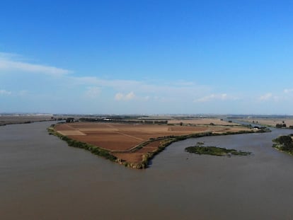 El río Guadalquivir, entre las localidades de La Puebla del Río o e Isla Mayor, en la provincia de Sevilla.