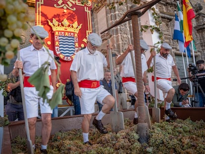 La pisa de la uva, en Jerez de la Frontera.