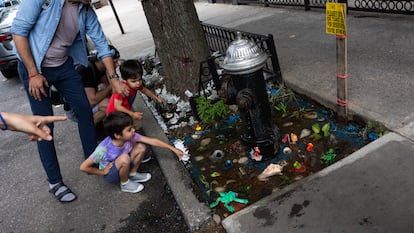 Neoyorquinos y turistas visitan el estanque.