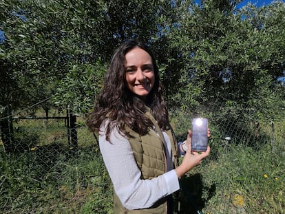 Carmen Flores Cayuela, investigadora del grupo Hidráulica y Riegos de la Universidad de Córdoba y Tic4bio, muestra una aplicación móvil para el control del agua de riego junto a uno de los sensores instalados en Cortijo El Puerto de la localidad sevillana de Lora del Río.