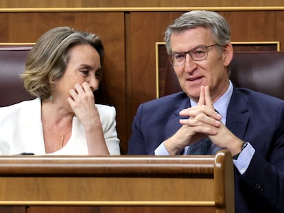 Feijóo y Gamarra, este miércoles en el Congreso.