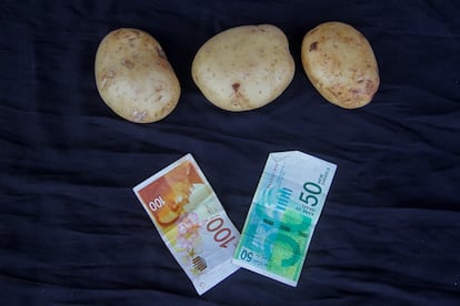 Estas tres patatas, fotografiadas el 25 de agosto en un mercado del norte de Gaza, cuestan 150 séqueles, unos 36 euros. Eso cuando se encuentran, porque los bombardeos y los desplazamientos masivos han obligado a abandonar la mayoría de campos y huertas y la ayuda humanitaria sigue siendo muy escasa para atender a los más de dos millones de habitantes de este territorio palestino. Antes de la guerra, que comenzó en octubre de 2023, estas patatas costaban unos dos séqueles, unos 50 céntimos. Según las últimas cifras de la Clasificación Integrada de las Fases (CIF, en español, IPC, en inglés), una herramienta independiente y mundialmente reconocida que mide la seguridad alimentaria y la nutrición y en la que participan varias organizaciones de la ONU, el 96% de toda la población de Gaza enfrenta altos niveles de inseguridad alimentaria aguda. Los últimos resultados indican que unas 495.000 personas sufren niveles catastróficos de inseguridad alimentaria, y el riesgo de hambruna persiste en toda Gaza. 