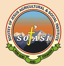 SOJASI Logo